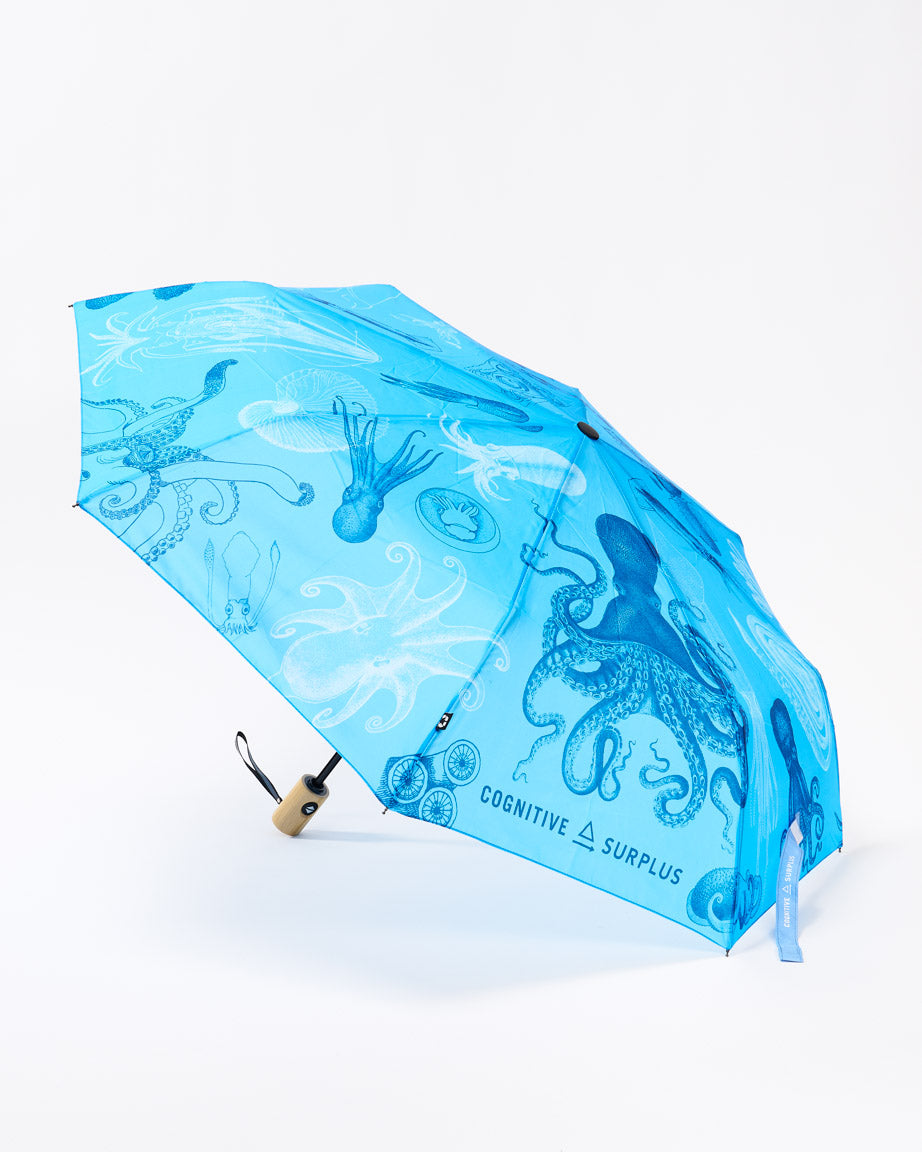 Cephalopods Umbrella