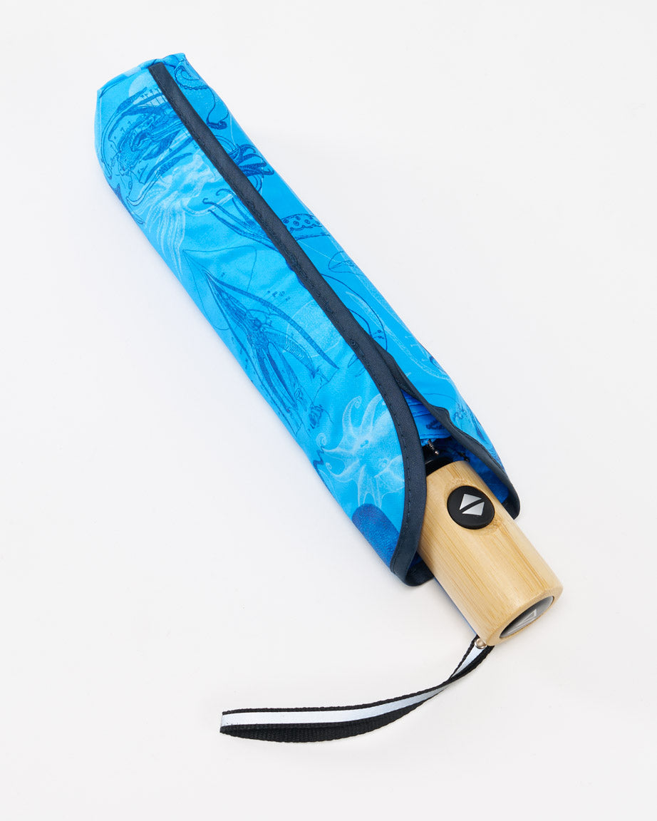 Cephalopods Umbrella