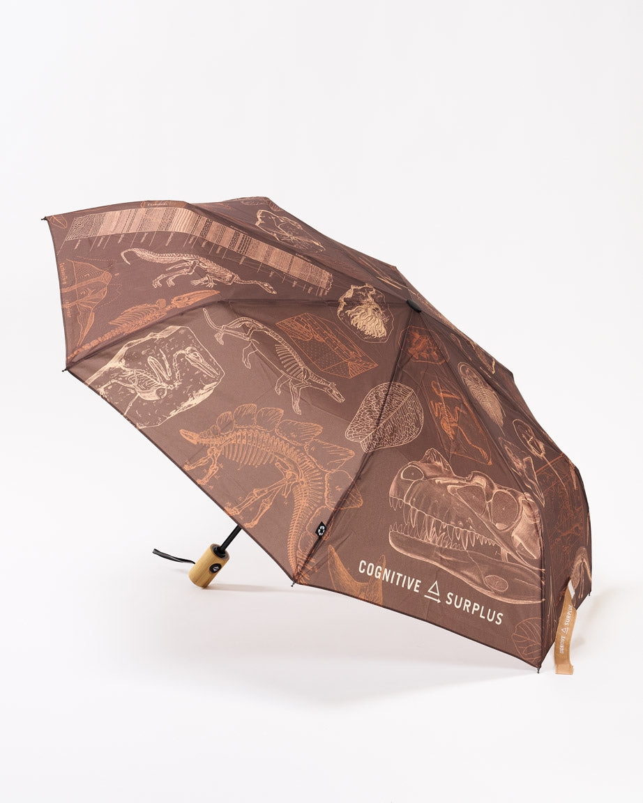 Dinosaur Umbrella