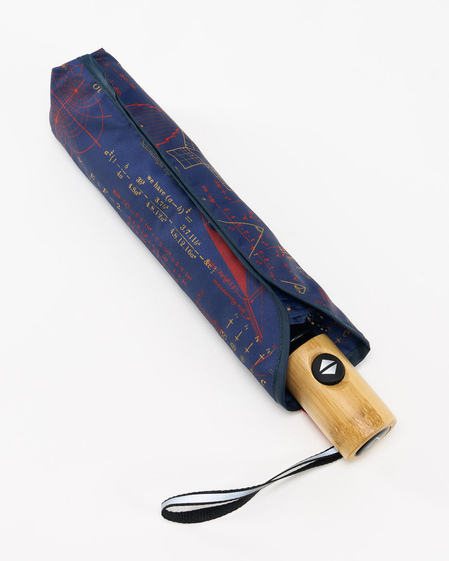 Equations That Changed The World Umbrella
