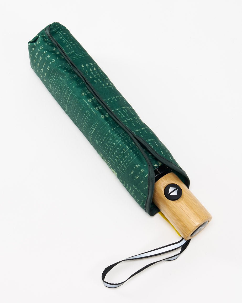 Linguistics Umbrella