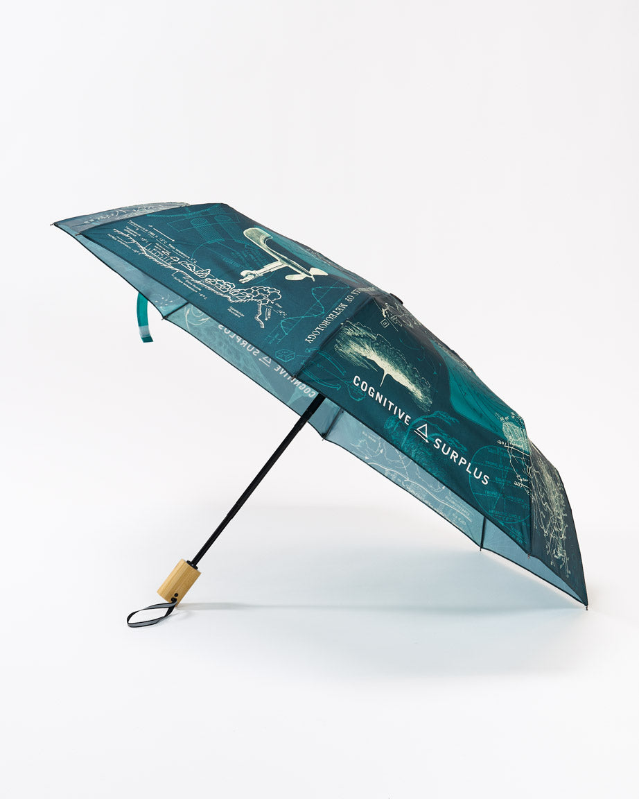 Meteorology Umbrella