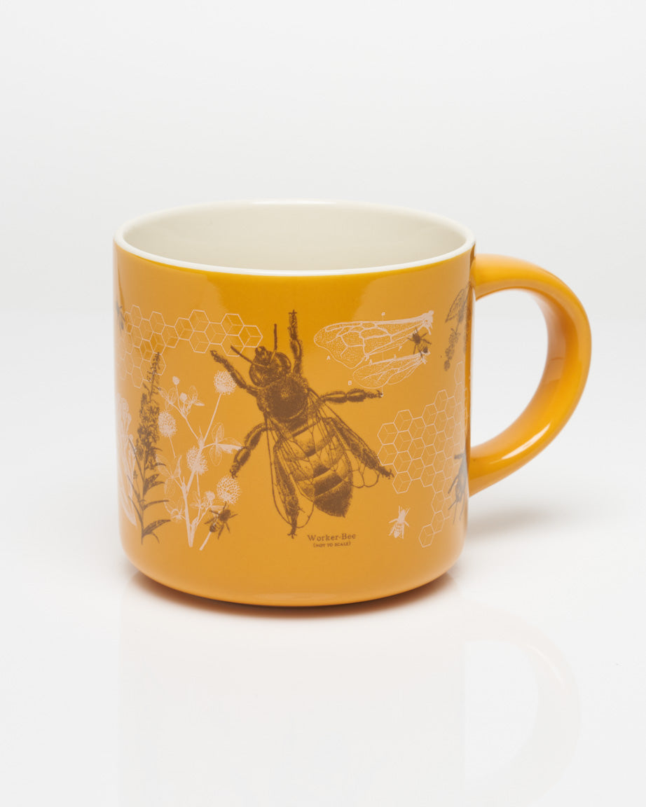 CmBee_1_1.jpg