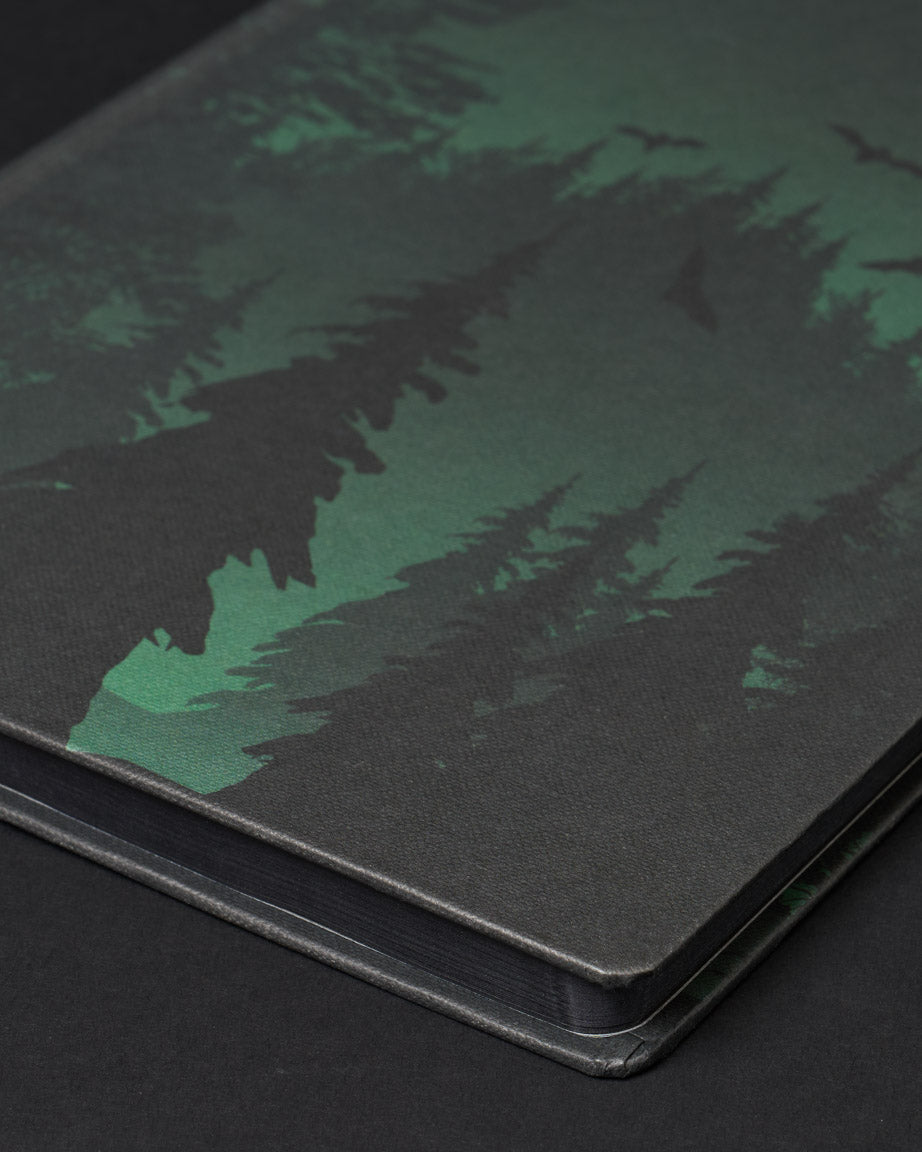 Twilight in the Evergreen Forest Dark Matter Notebook