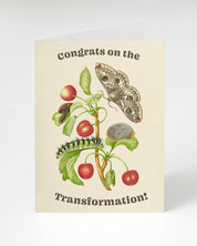 Metamorphosis Transformation Greeting Card
