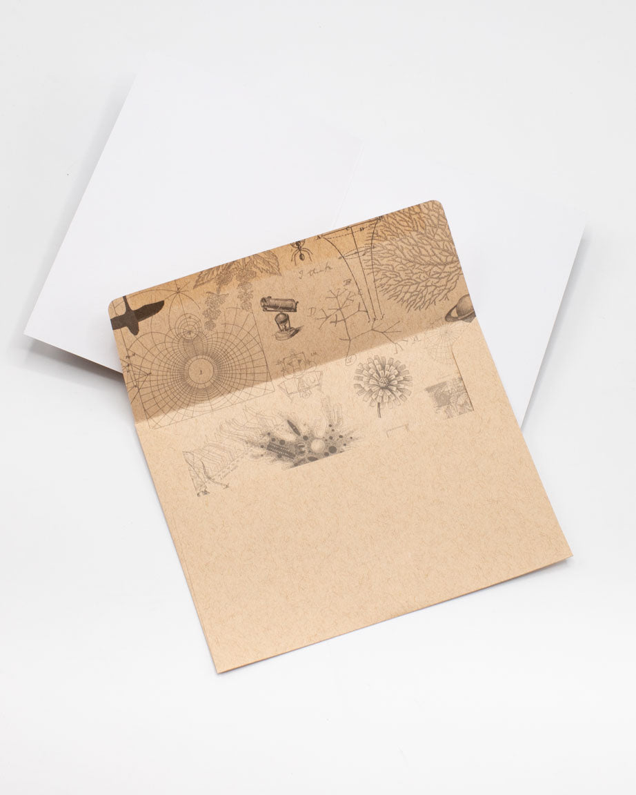 Gc_Envelope_cc32bb27-724d-4f97-b506-2c1352efa4c7.jpg