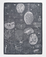 Torchon Cerveau & Neurosciences