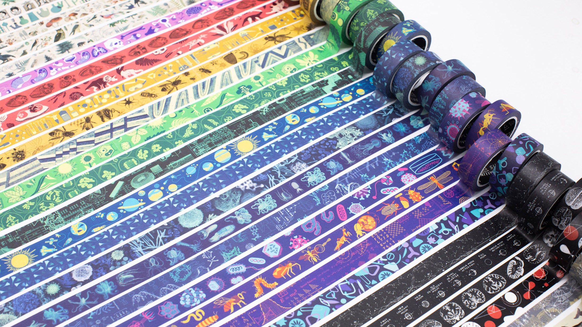 WT_Rainbow1_1920x1080_e2671a58-34b0-4bb2-98e6-3879bef21f25.jpg