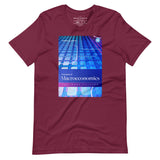 Camiseta gráfica de principios de macroeconomía