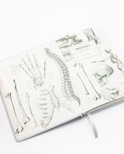 Skeleton A5 Hardcover