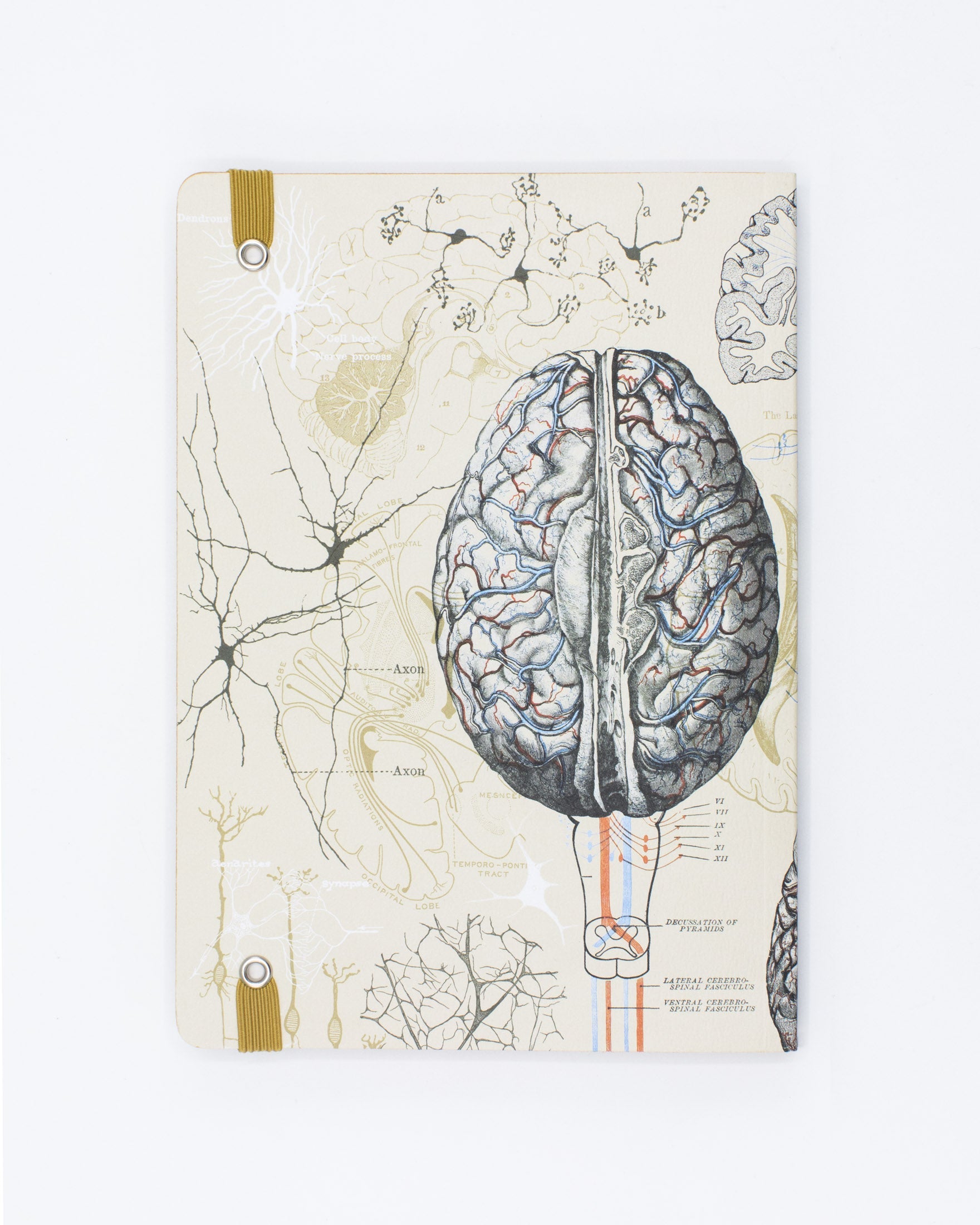 Brain A5 Softcover