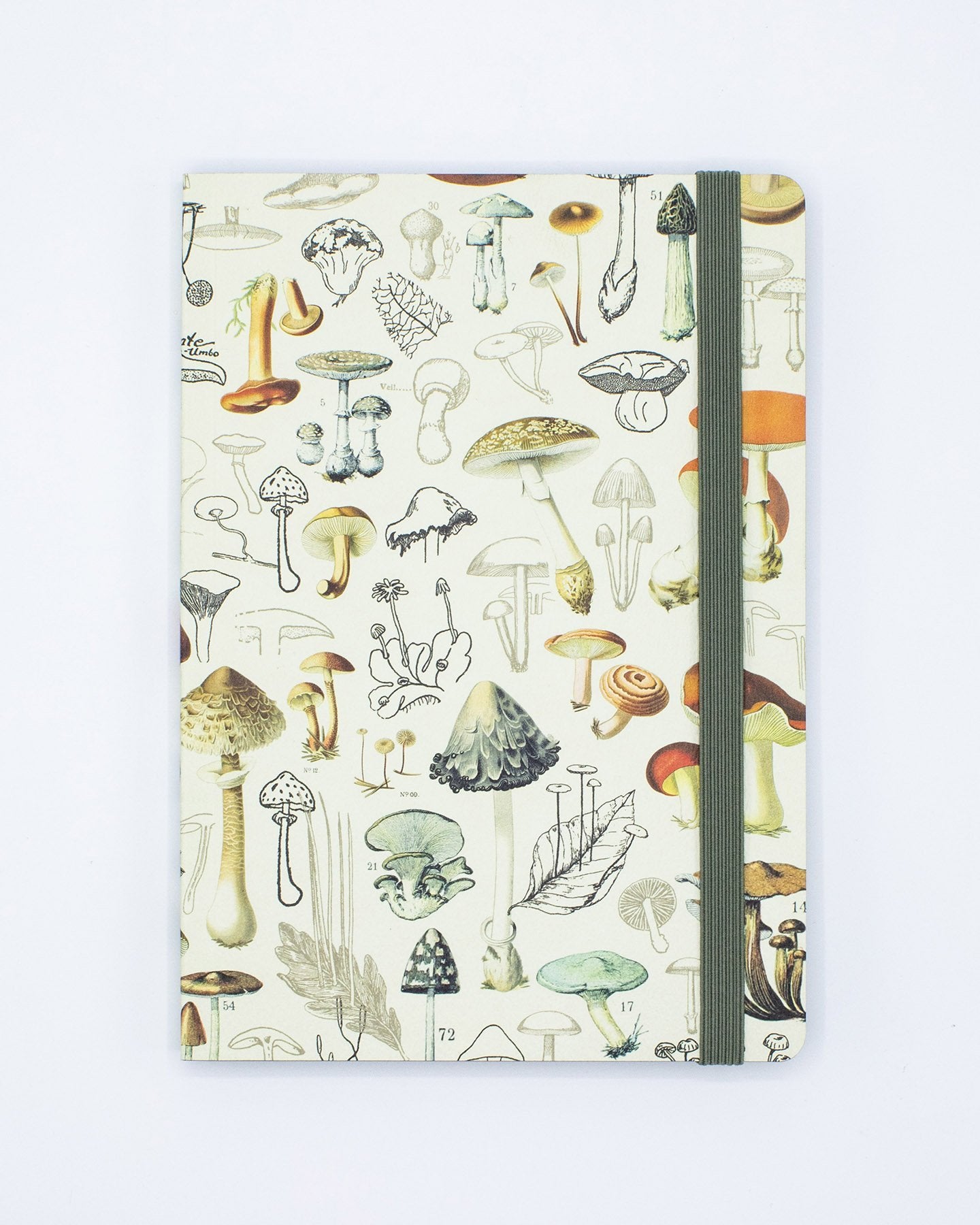 Woodland Mushrooms A5 Softcover