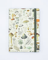 Waldpilze A5 Softcover
