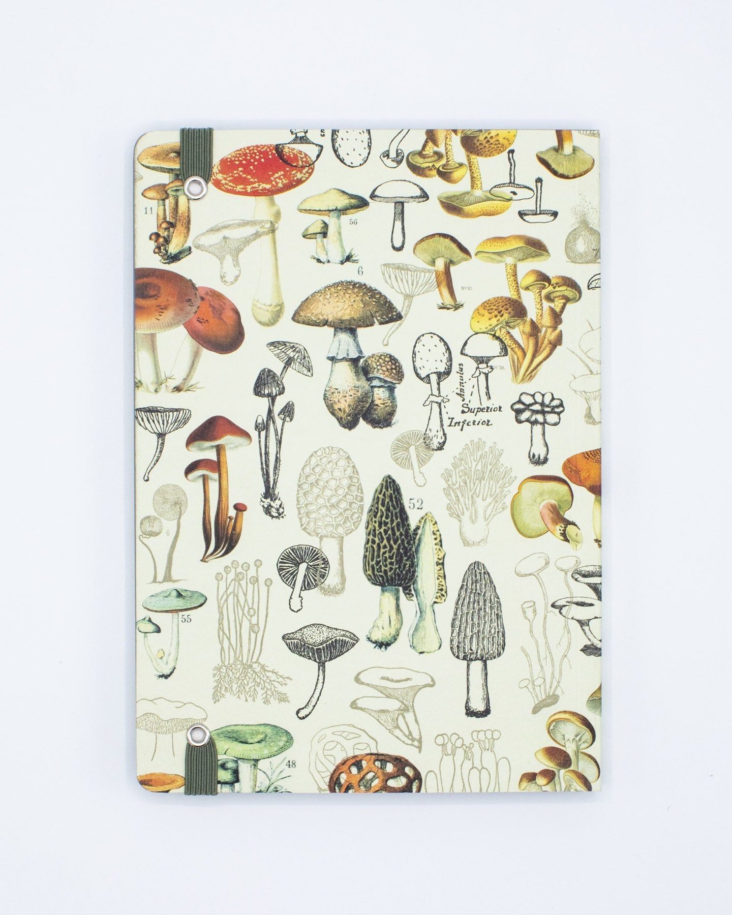 Woodland Mushrooms A5 Softcover