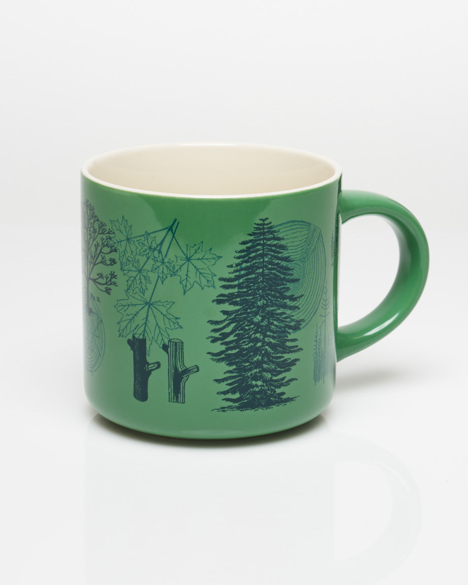 CmForest_1.jpg