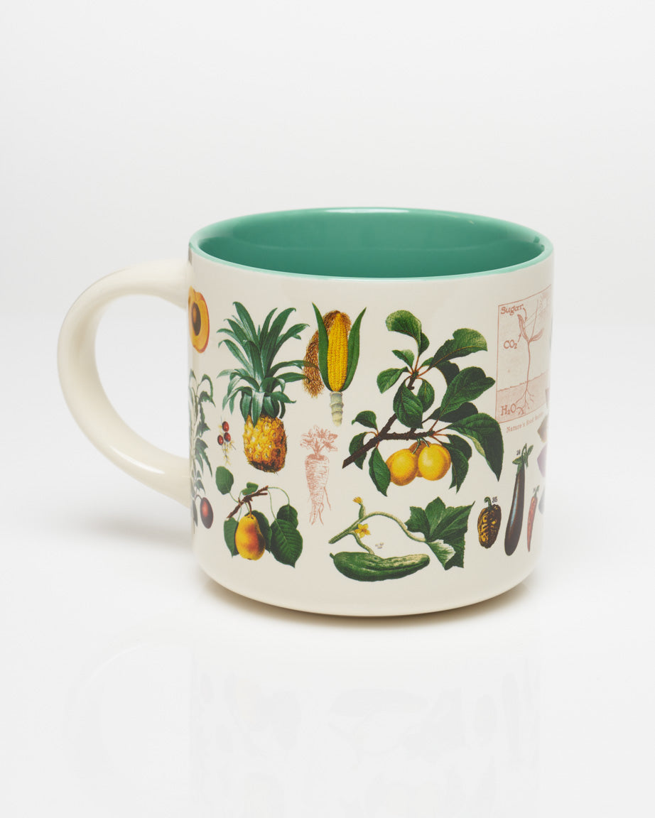 Edible Plants: Fruits & Veggies 430 mL Ceramic Mug