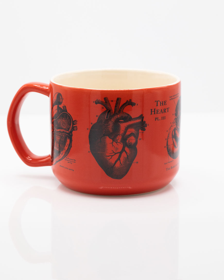 Heart Anatomy 450 mL Ceramic Mug