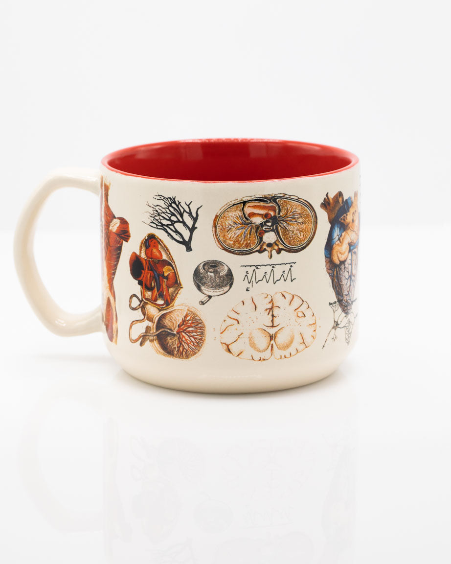 Vascular Anatomy 450 mL Ceramic Mug