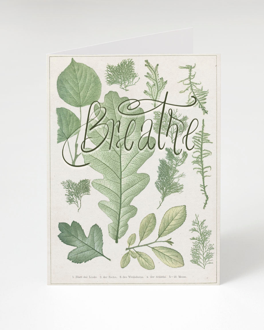 GcBreathe_web_07a9d663-34f4-4819-adb3-90bedc0377b1.jpg
