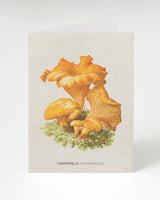 Carte Chanterelle
