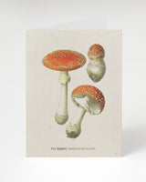 Carte Champignon vénéneux Amanite tue-mouches