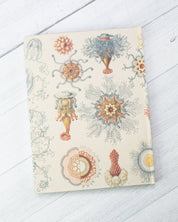 Haeckel Jellyfish Hardcover - Lined/Grid