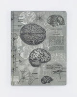 Anatomia del cervello Copertina rigida - Griglia a punti
