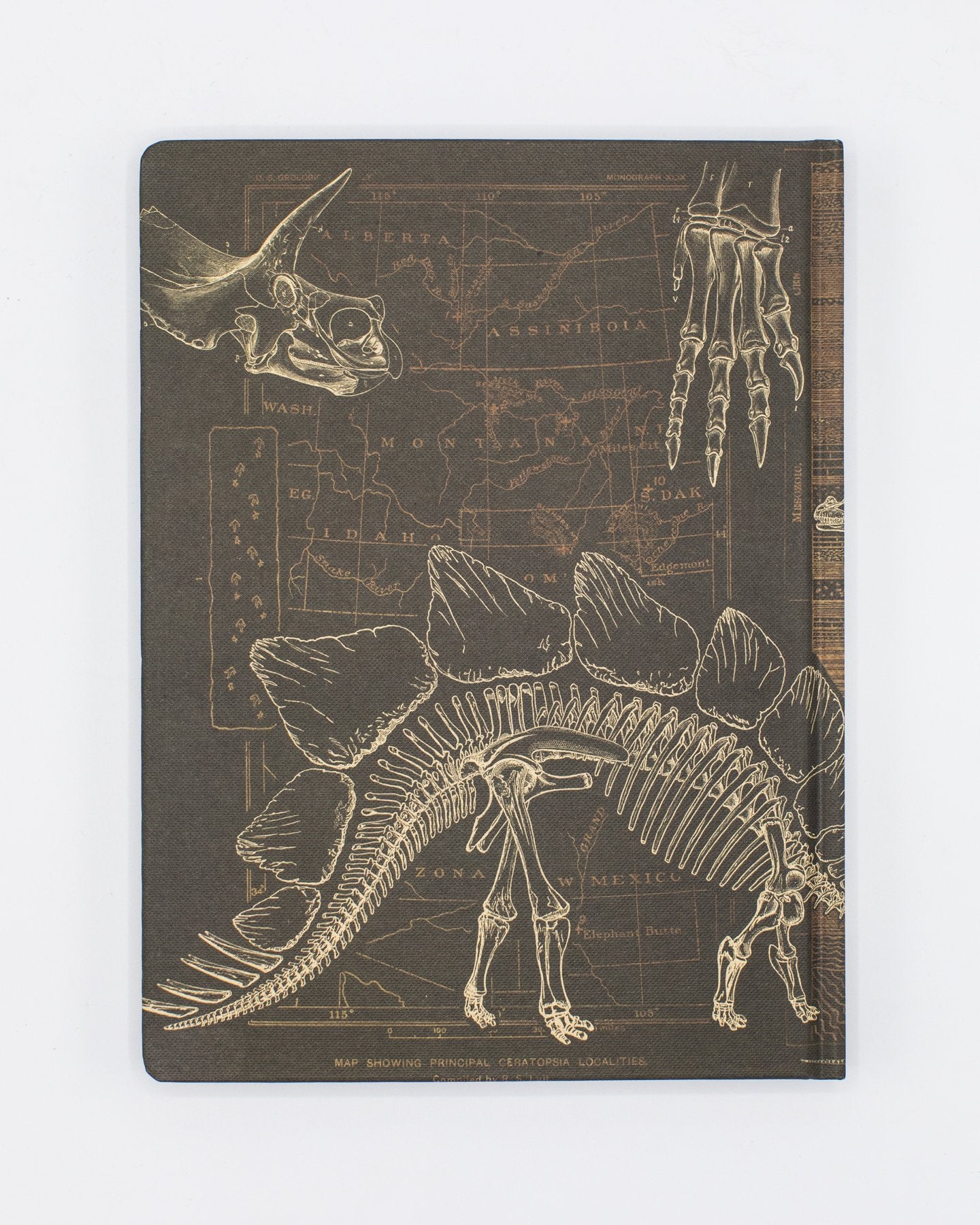 Dinosaur Bones: Paleontology Hardcover - Dot Grid