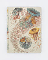 Haeckel Kwallen Hardcover - Blanco