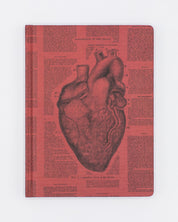 Anatomical Heart Hardcover - Blank