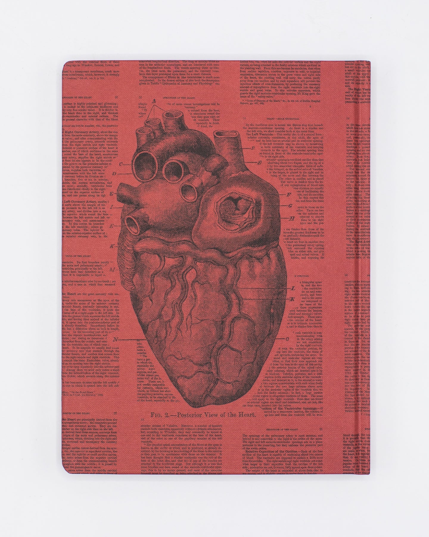 Anatomical Heart Hardcover - Blank