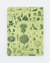 Plants & Fungi Hardcover - Lined/Grid