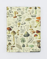 Funghi della foresta - Righe/Griglia