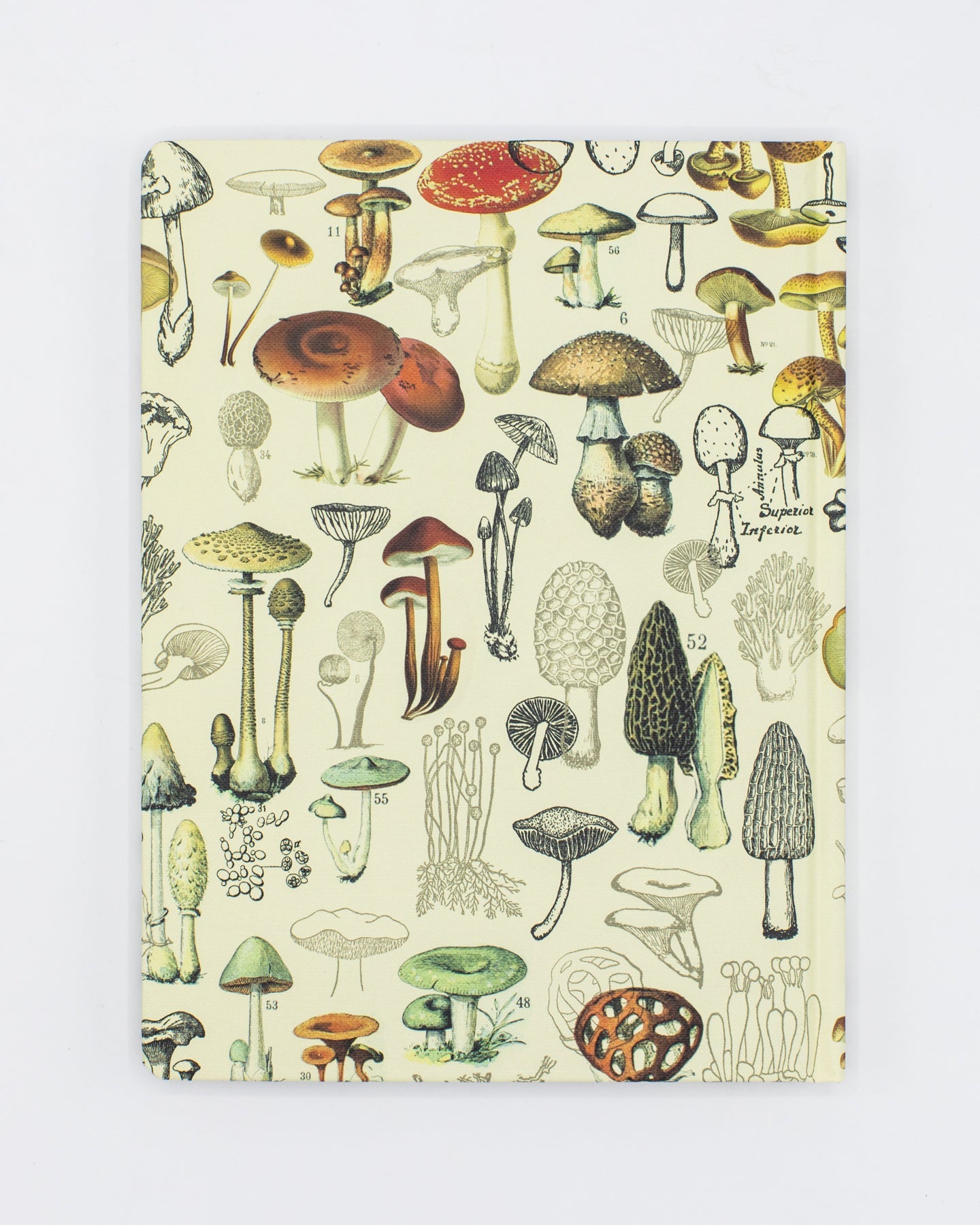 Woodland Mushrooms Hardcover - Blank