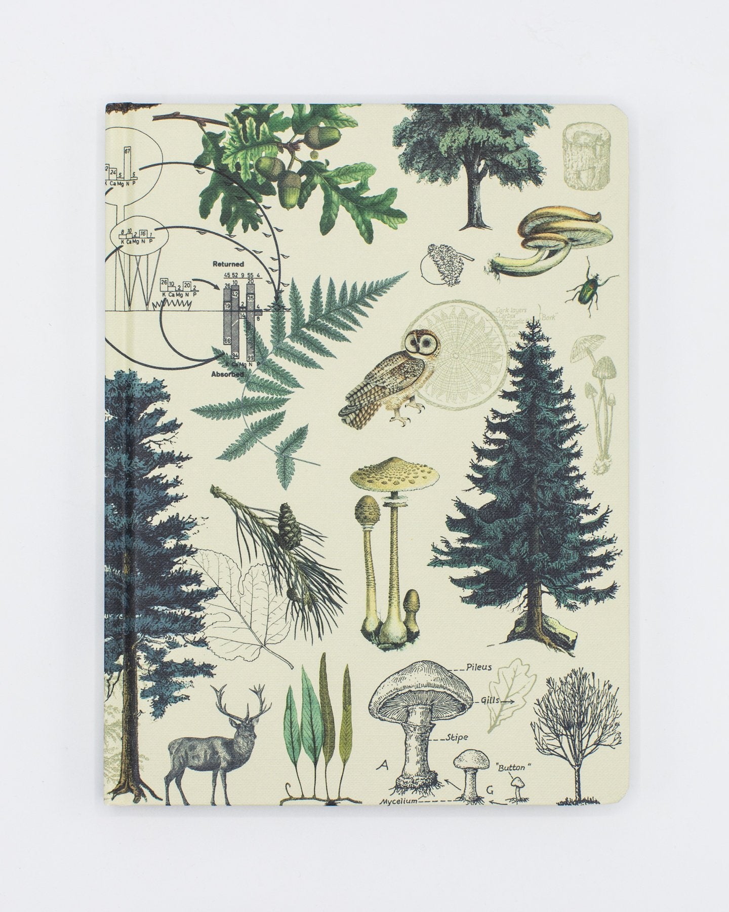 Woodland Forest Hardcover - Dot Grid