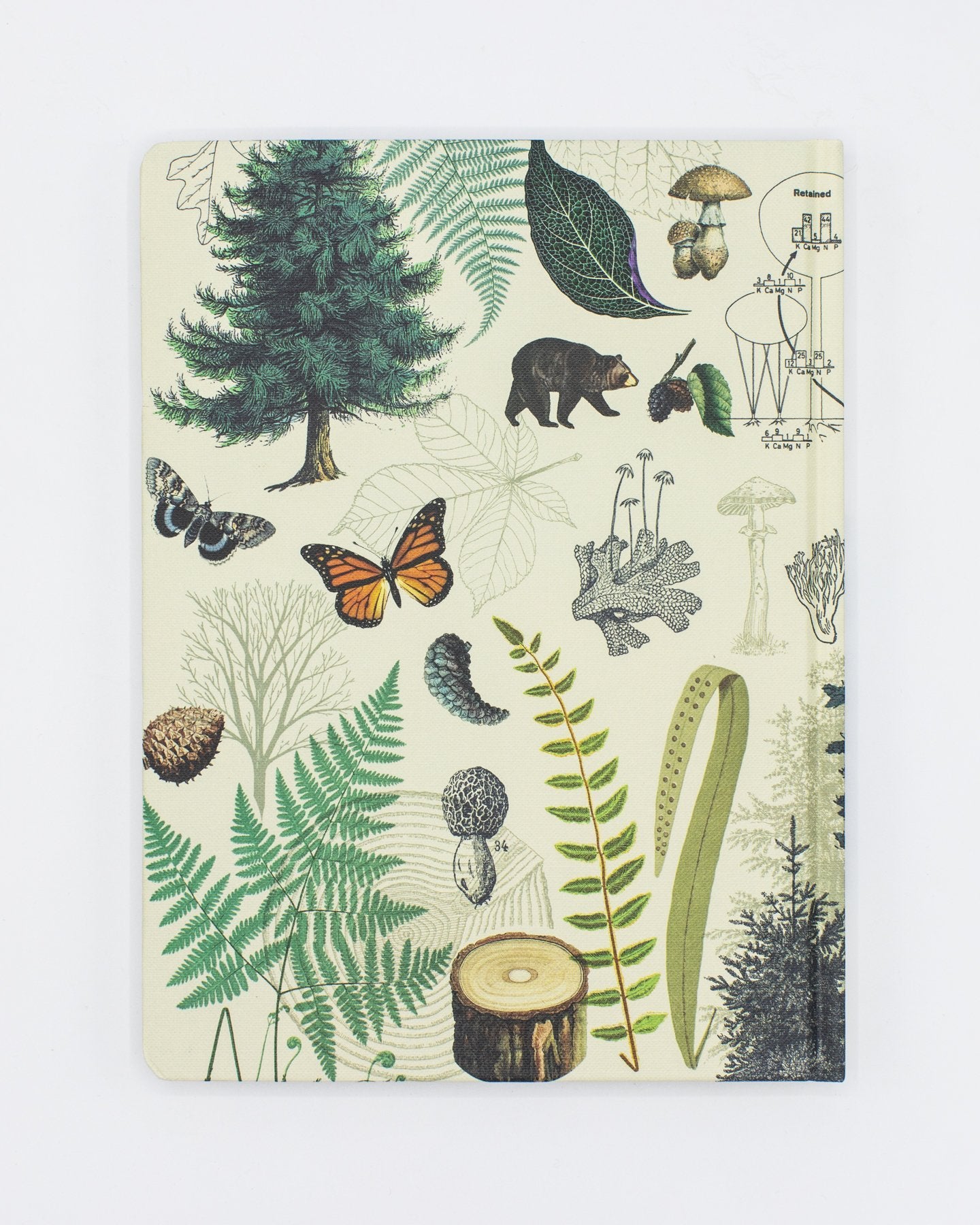 Woodland Forest Hardcover - Dot Grid