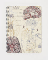 Cahier à spirale Cerveau et neurosciences