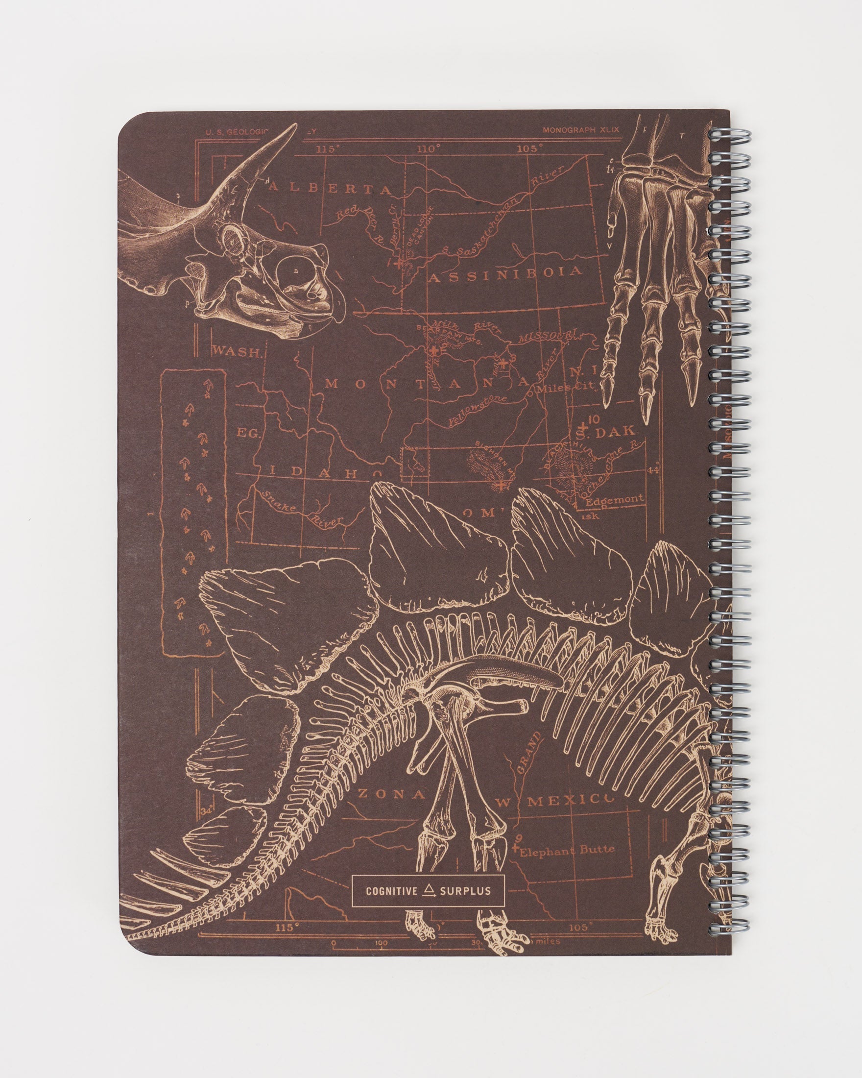 Dinosaur Bones Spiral Notebook