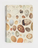 Bird Eggs spiraalnotitieboek