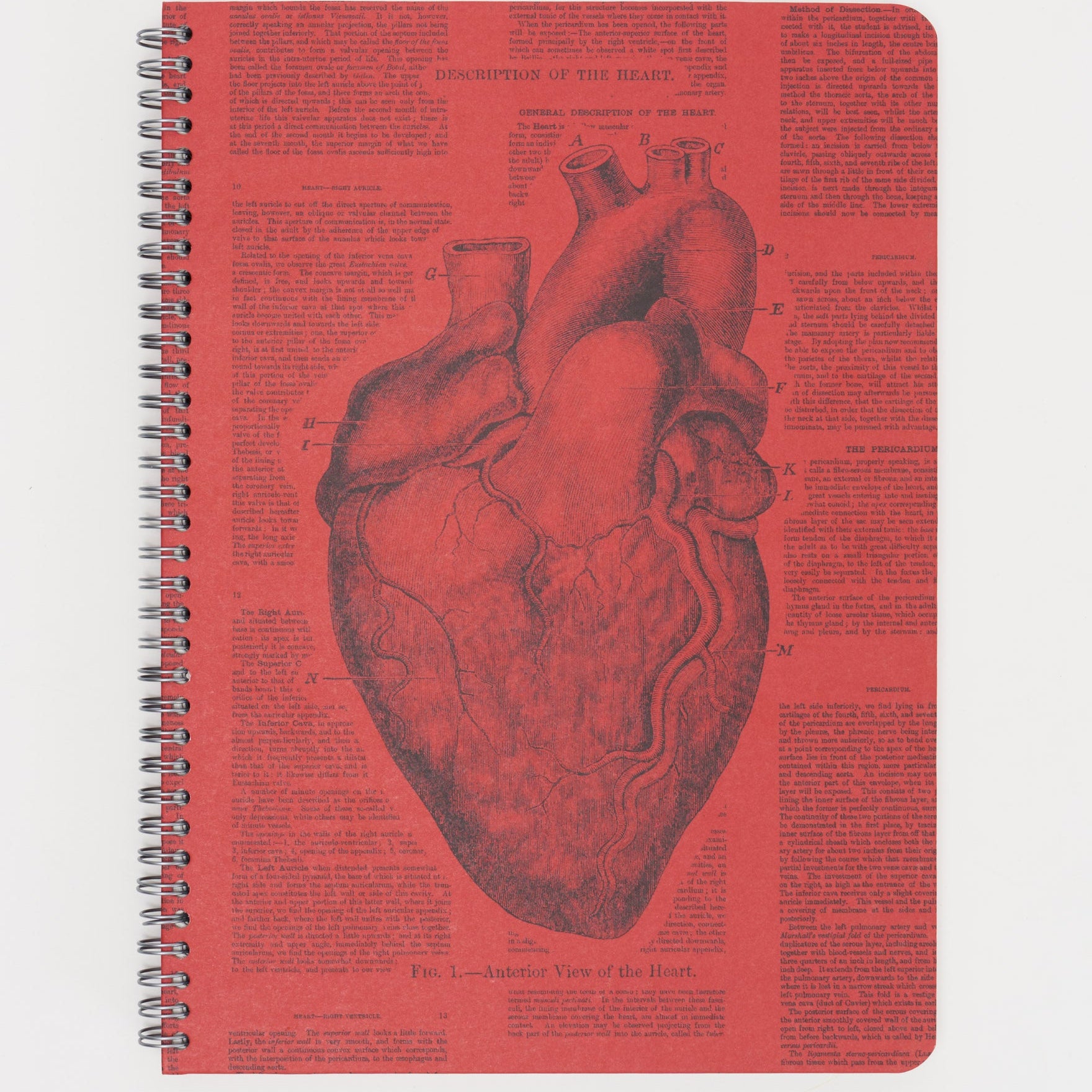 Hx4Heart_1.jpg