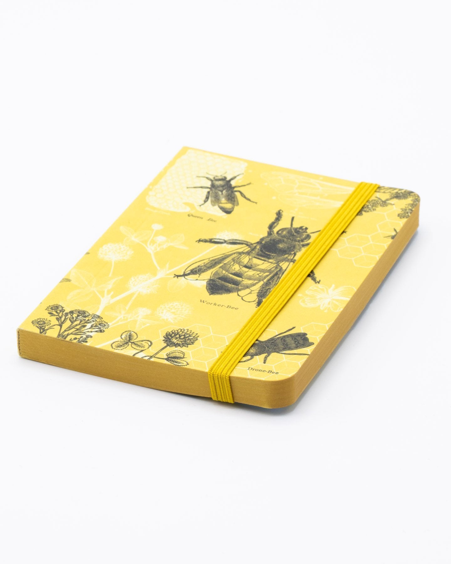 Honey Bee Observation Softcover