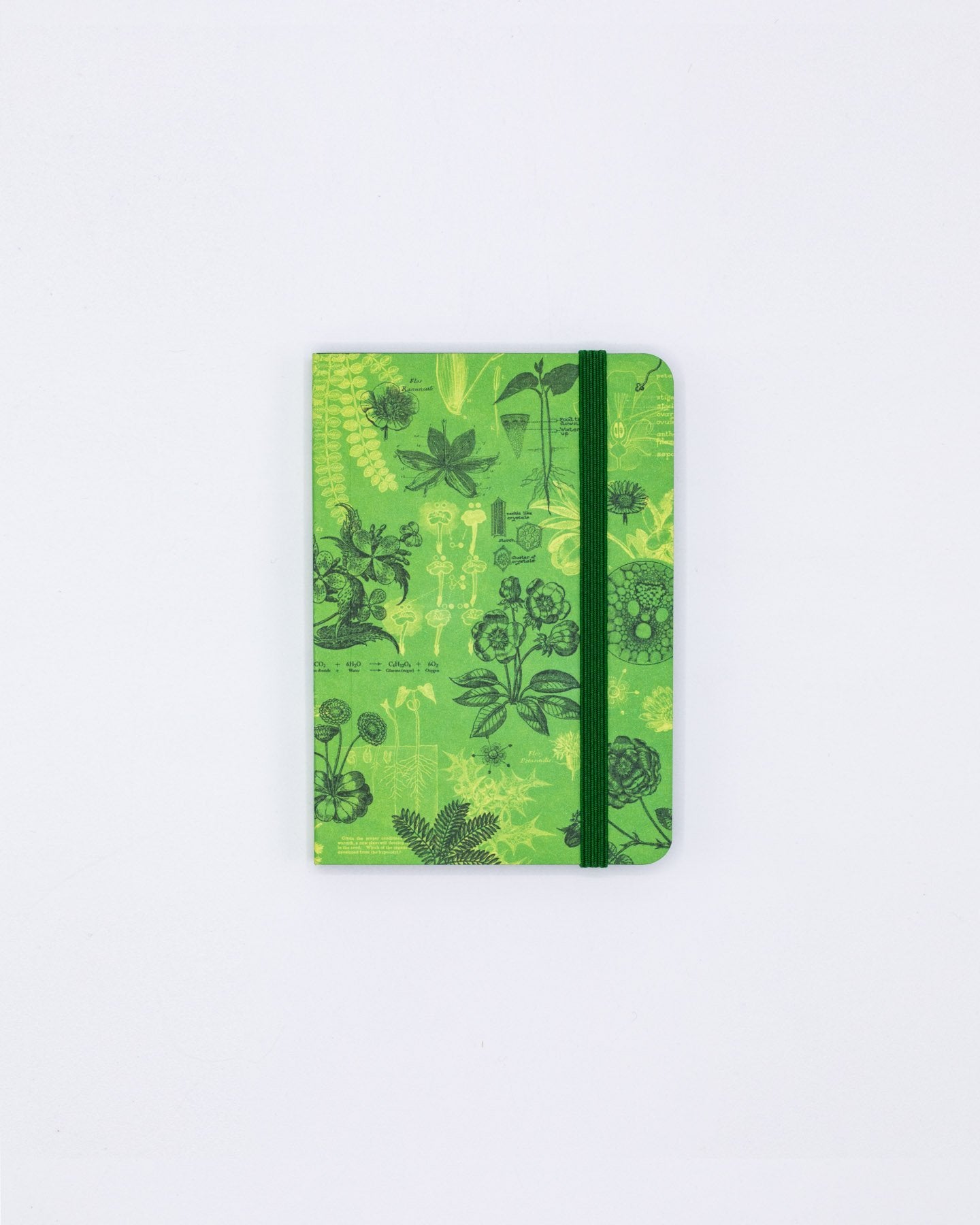 Botanical Reverie Observation Softcover