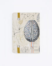 Brain Observation Softcover