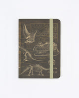 Dinosaurierknochen Beobachtungs-Softcover