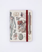 Observation d'Anatomie & Physiologie Couverture souple