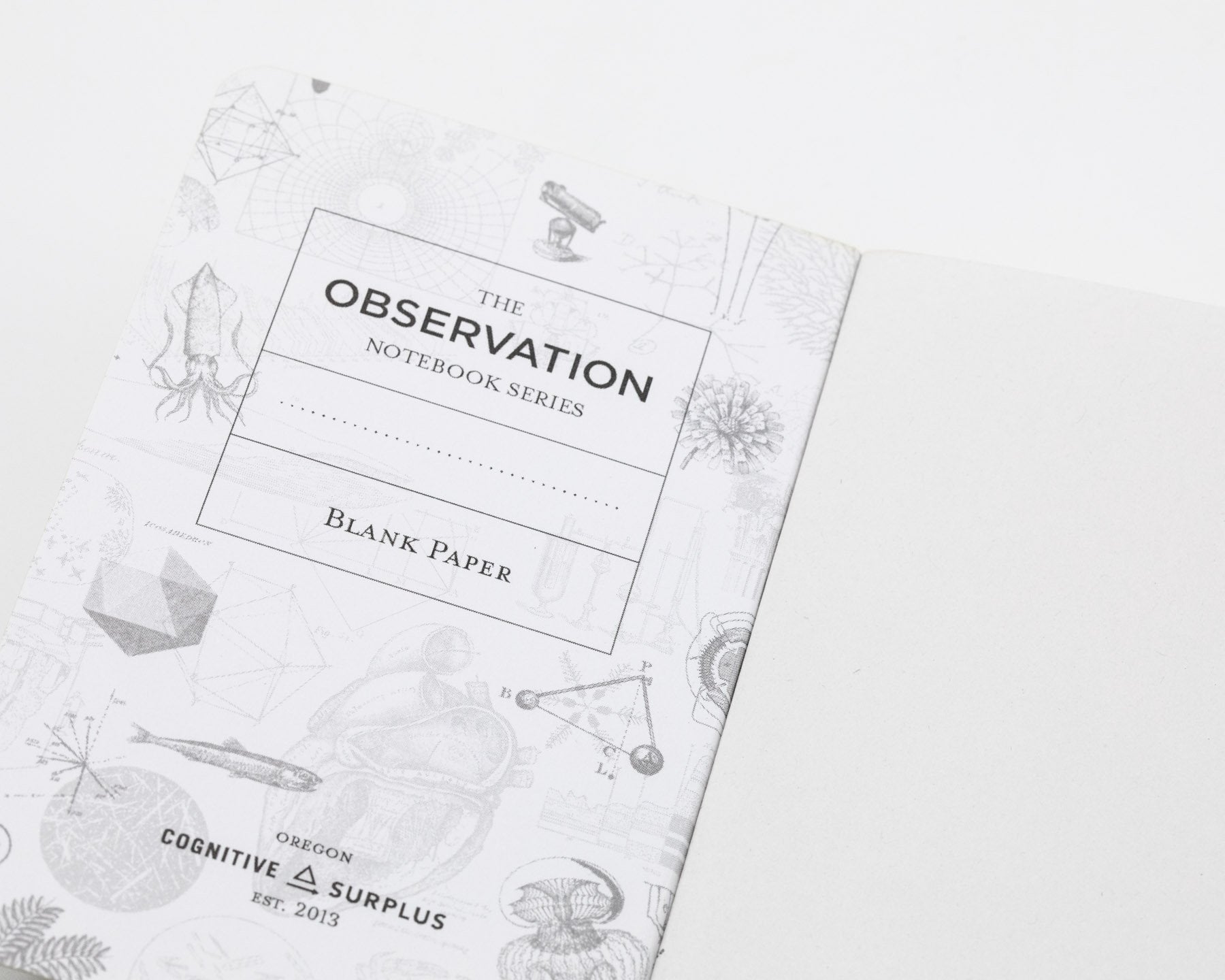 Honey Bee Observation Softcover