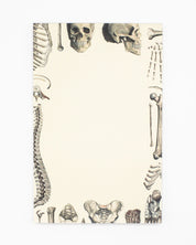 Skeleton Notepads