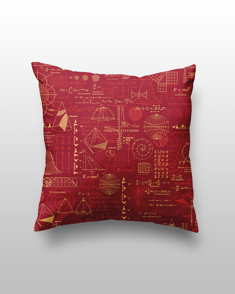 Equations That Changed the World Pillow Cover