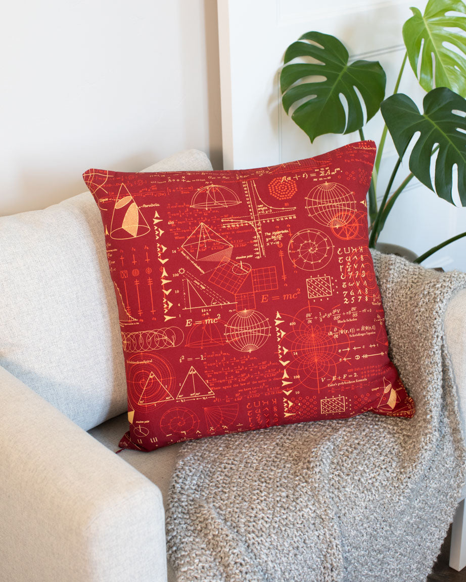 Equations That Changed the World Pillow Cover