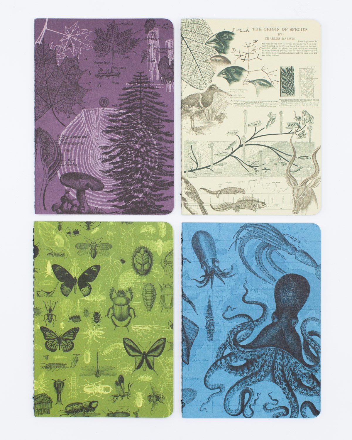 Natural Science Pocket Notebook 4-pack